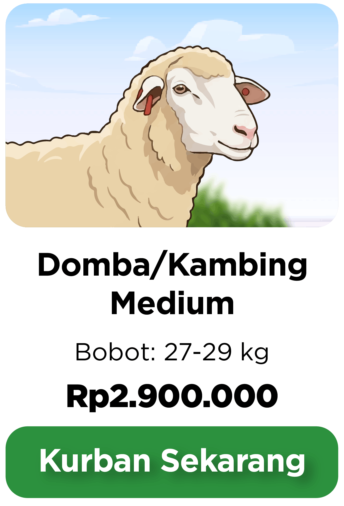 Kurban Domba/Kambing Medium