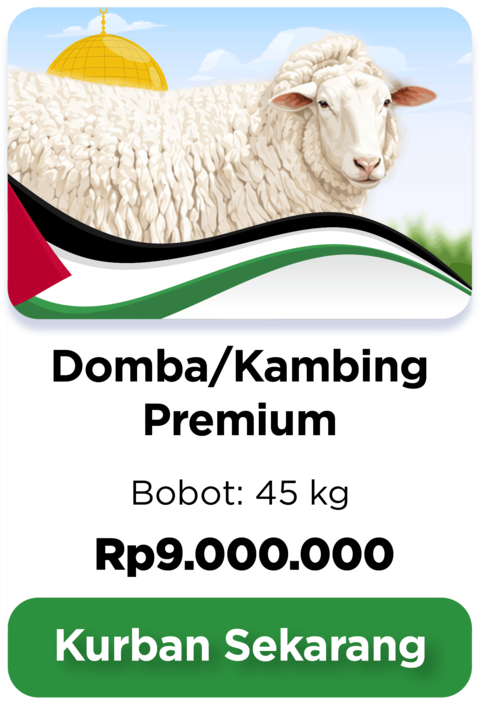 Kurban Domba/Kambing Premium