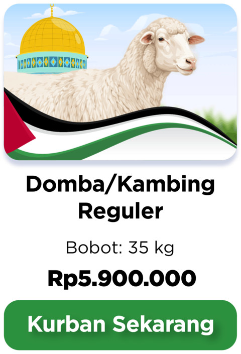 Kurban Domba/Kambing Reguler
