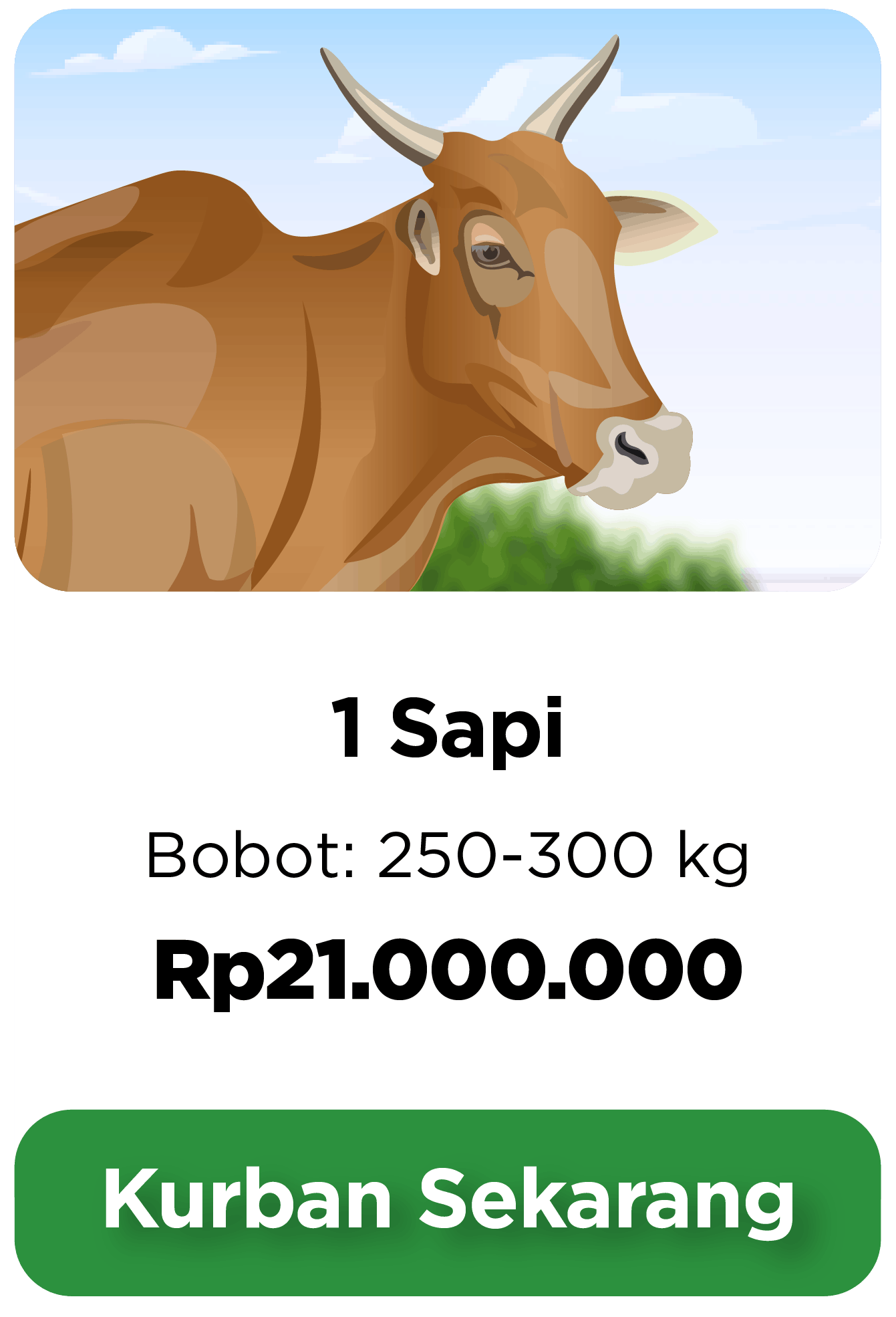 Kurban Sapi